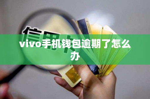 vivo手机钱包逾期了怎么办 vivo手机钱包逾期了怎么办