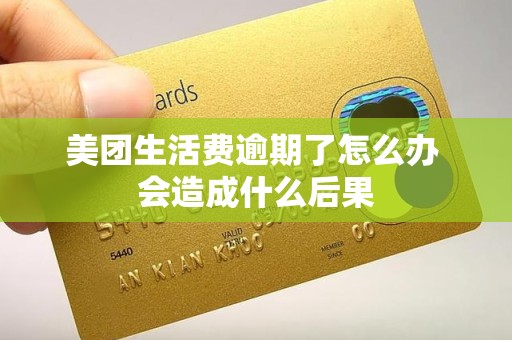 美团生活费逾期了怎么办 会造成什么后果