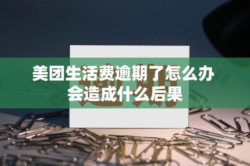 美团生活费逾期了怎么办 会造成什么后果