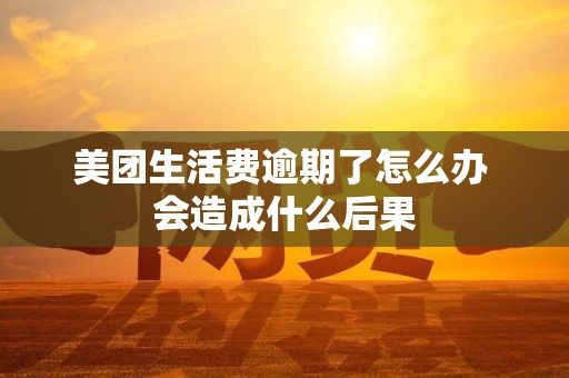 美团生活费逾期了怎么办 会造成什么后果