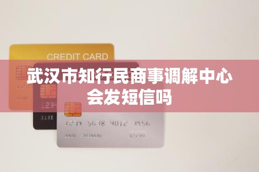 武汉市知行民商事调解中心会发短信吗