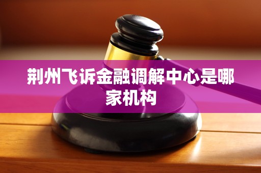 荆州飞诉金融调解中心是哪家机构 荆州飞诉金融调解中心是哪家机构