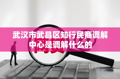 武汉市武昌区知行民商调解中心是调解什么的
