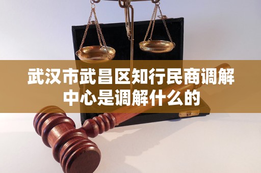 武汉市武昌区知行民商调解中心是调解什么的