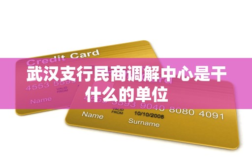 武汉支行民商调解中心是干什么的单位