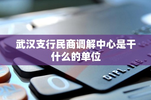 武汉支行民商调解中心是干什么的单位