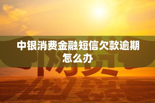 中银消费金融短信欠款逾期怎么办 中银消费金融短信欠款逾期怎么办