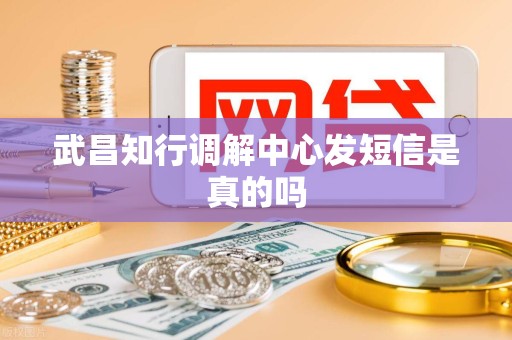 武昌知行调解中心发短信是真的吗