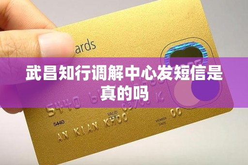 武昌知行调解中心发短信是真的吗