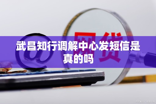 武昌知行调解中心发短信是真的吗