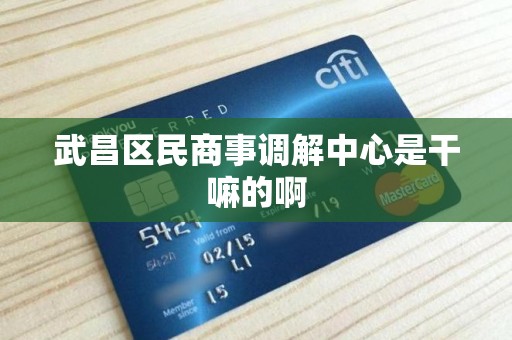 武昌区民商事调解中心是干嘛的啊 武昌区民商事调解中心是干嘛的啊