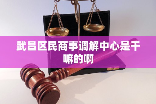 武昌区民商事调解中心是干嘛的啊 武昌区民商事调解中心是干嘛的啊