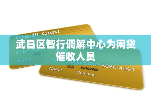 武昌区智行调解中心为网贷催收人员