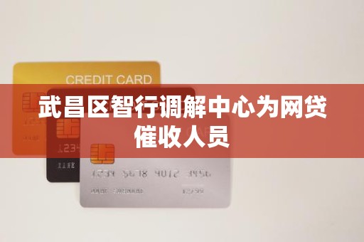 武昌区智行调解中心为网贷催收人员