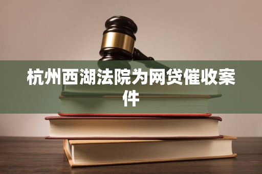 杭州西湖法院为网贷催收案件