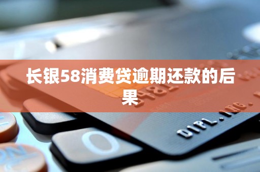 长银58消费贷逾期还款的后果