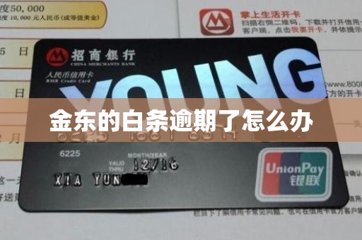 金东的白条逾期了怎么办 金东的白条逾期了怎么办
