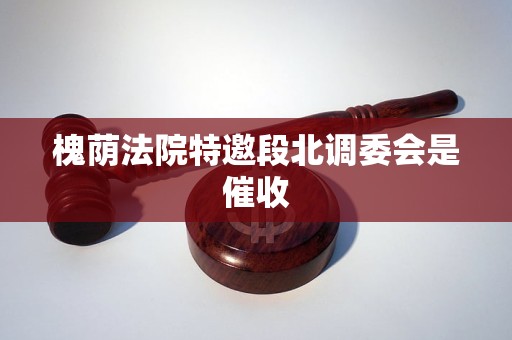 槐荫法院特邀段北调委会是催收