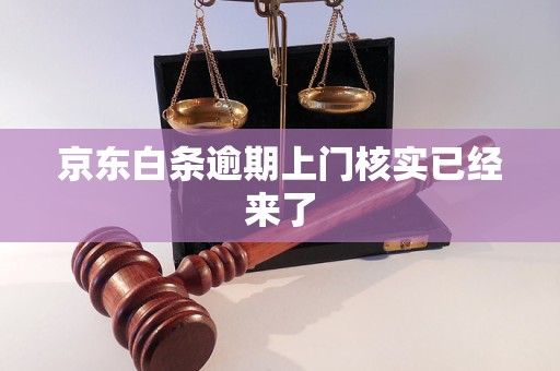 京东白条逾期上门核实已经来了 京东白条逾期上门核实已经来了