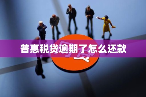 普惠税贷逾期了怎么还款