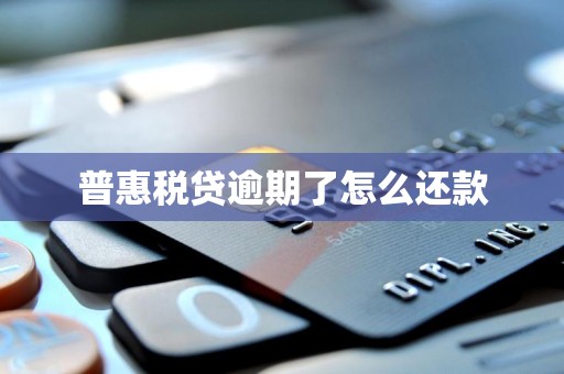 普惠税贷逾期了怎么还款