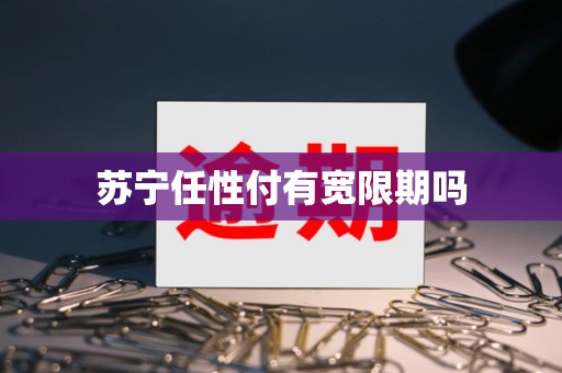 苏宁任性付有宽限期吗 苏宁任性付有宽限期吗