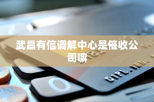 武昌有信调解中心是催收公司嘛 武昌有信调解中心是催收公司嘛