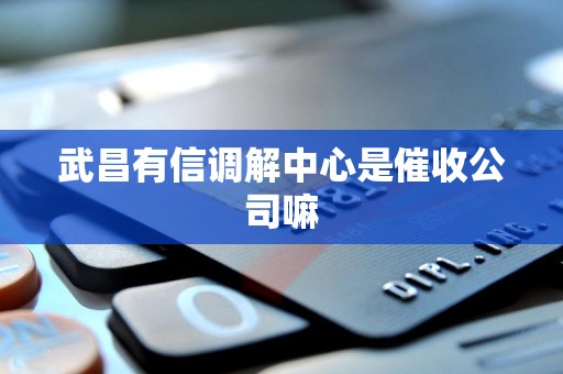 武昌有信调解中心是催收公司嘛 武昌有信调解中心是催收公司嘛