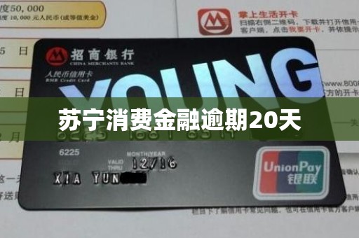 苏宁消费金融逾期20天