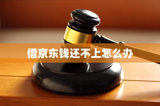 借京东钱还不上怎么办