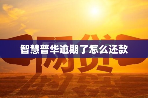 智慧普华逾期了怎么还款 智慧普华逾期了怎么还款