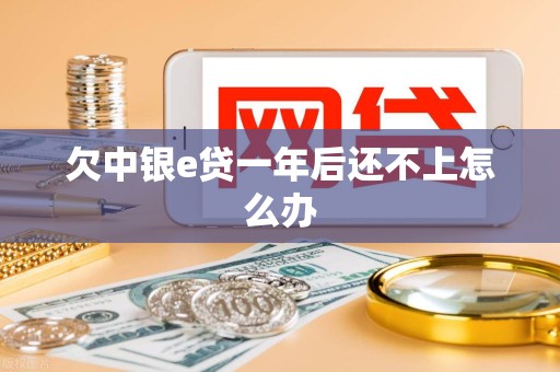欠中银e贷一年后还不上怎么办 欠中银e贷一年后还不上怎么办