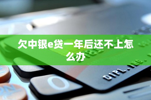 欠中银e贷一年后还不上怎么办 欠中银e贷一年后还不上怎么办