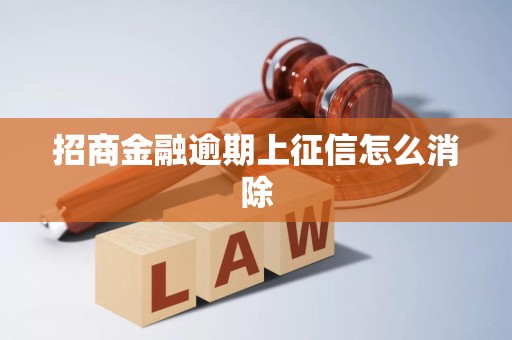 招商金融逾期上征信怎么消除