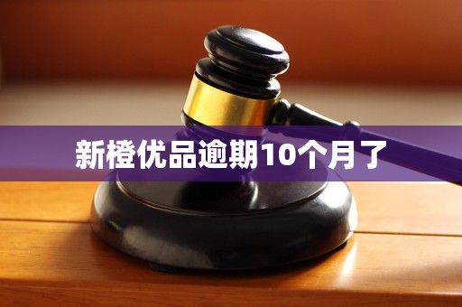 新橙优品逾期10个月了