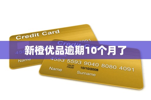 新橙优品逾期10个月了