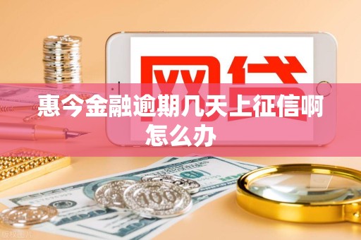 惠今金融逾期几天上征信啊怎么办