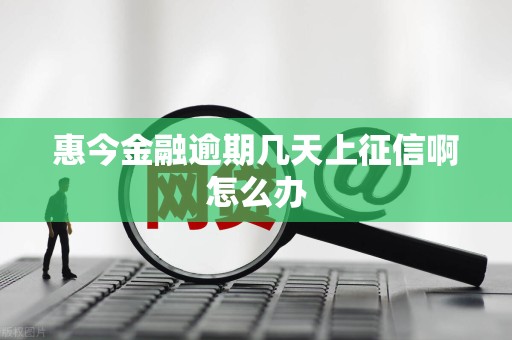 惠今金融逾期几天上征信啊怎么办