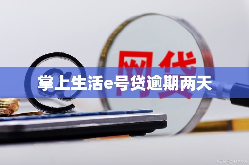 掌上生活e号贷逾期两天