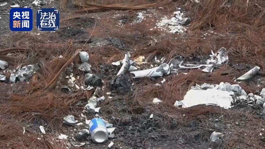 _受害公民死亡_造成公民死亡的