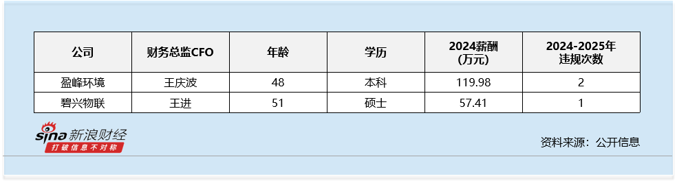 薪酬规划总监__薪酬总监什么级别