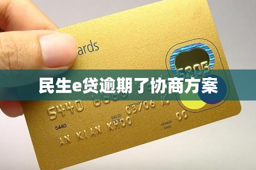 民生e贷逾期了协商方案