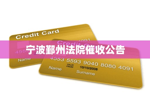 宁波鄞州法院催收公告