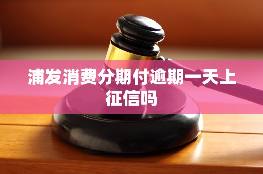 浦发消费分期付逾期一天上征信吗