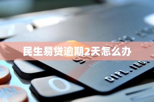 民生易贷逾期2天怎么办