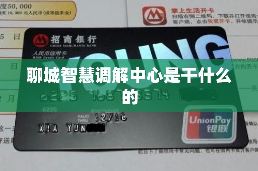 聊城智慧调解中心是干什么的