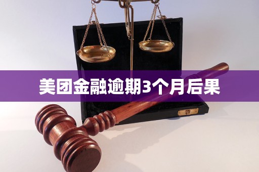 美团金融逾期3个月后果