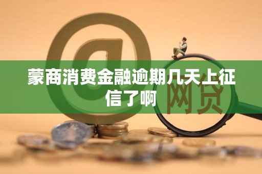 蒙商消费金融逾期几天上征信了啊