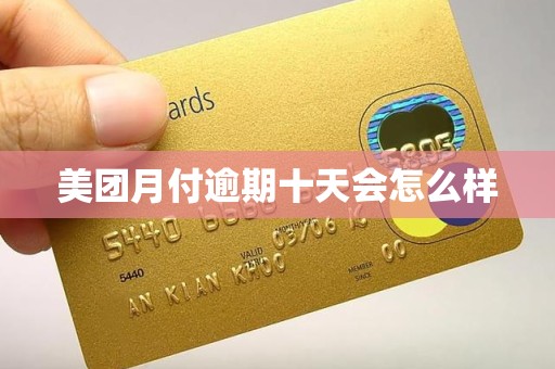 美团月付逾期十天会怎么样