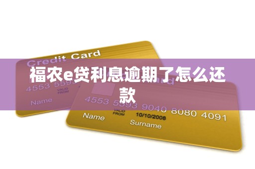 福农e贷利息逾期了怎么还款